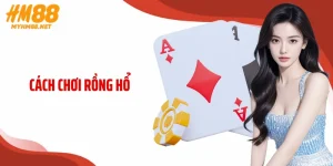 Cách Chơi Rồng Hổ HM88: Tuyệt Kỹ Chốt Kèo Thắng Lớn 2026