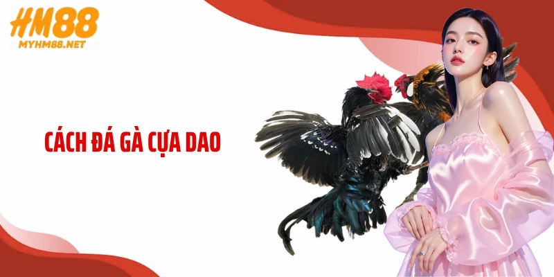 Cách Đá Gà Cựa Dao HM88: Bí Kíp Chinh Phục Đấu Trường