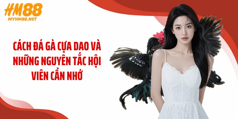 Cách đá gà cựa dao và những nguyên tắc hội viên cần nhớ