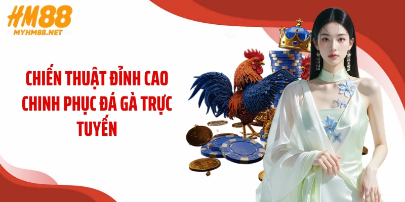 Chiến thuật đỉnh cao chinh phục đá gà trực tuyến