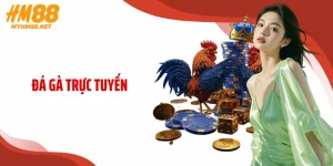 Đá gà trực tuyến HM88: Cách Mạng Giải Trí Số Và Cơ Hội Làm Giàu