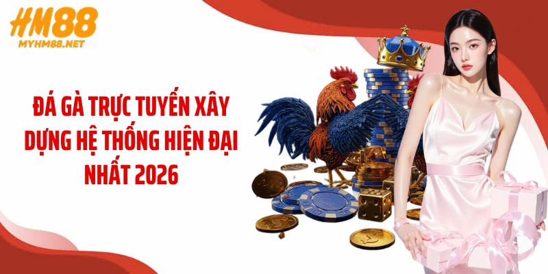 Đá gà trực tuyến xây dựng hệ thống hiện đại nhất 2026