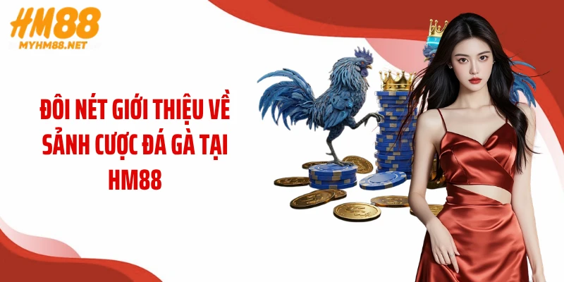 Đôi nét giới thiệu về sảnh cược đá gà tại HM88
