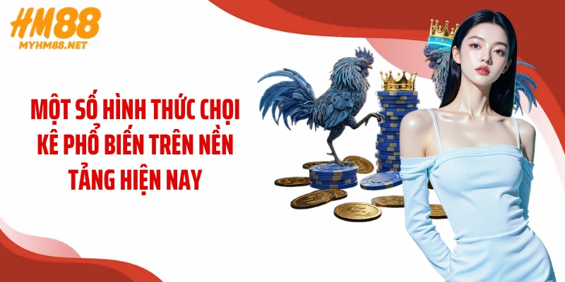 Một số hình thức chọi kê phổ biến trên nền tảng hiện nay