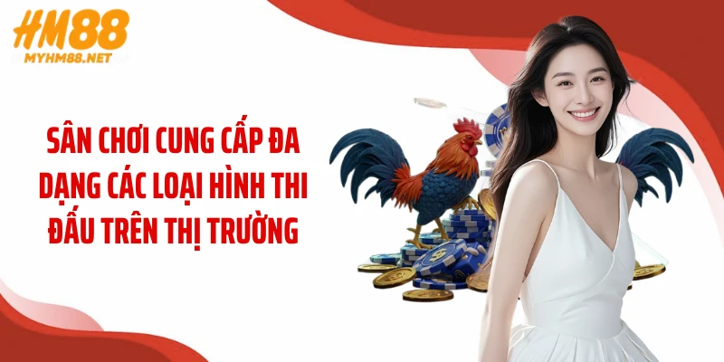 Sân chơi cung cấp đa dạng các loại hình thi đấu trên thị trường