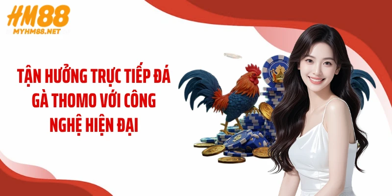 Tận hưởng trực tiếp đá gà Thomo với công nghệ hiện đại