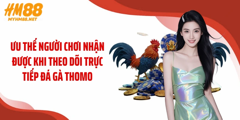 Ưu thế người chơi nhận được khi theo dõi trực tiếp đá gà Thomo
